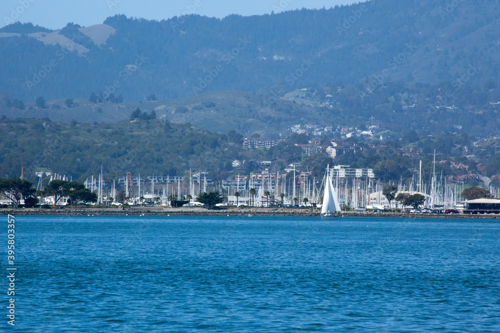 Sailboat in San Francisco Bay Sailboat in San Francisco Bay