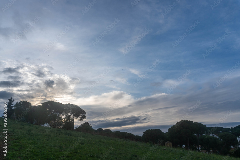 Fototapeta premium Hill with trees