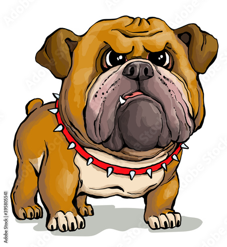 Vector illustration. Funny cartoon. A parody portrait of a cute but stern English Bulldog.