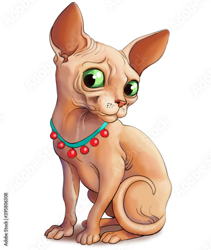 Illustration. A funny cat of the Sphynx breed in a beautiful collar. He looks playfully.