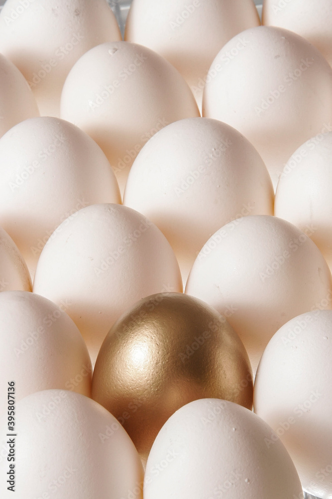 Golden egg in the middle of other eggs Golden egg in the middle of other eggs