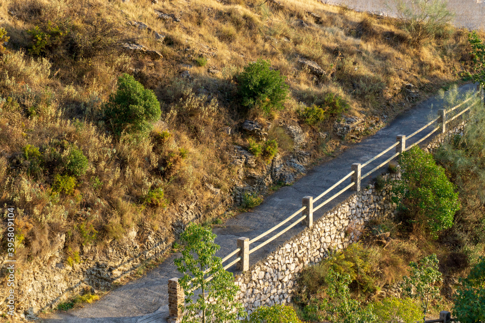 small path with wooden fence