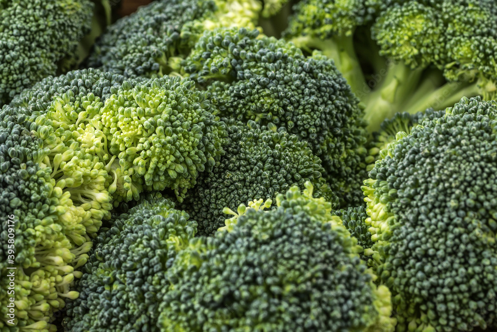 A lot of broccoli for diet and healthy eating. Fresh green broccoli on a table.Broccoli vegetable is full of vitamin.Vegetables for diet and healthy eating.Organic food. A lot of broccoli for diet and healthy eating. Fresh green broccoli on a table.Broccoli vegetable is full of vitamin.Vegetables for diet and healthy eating.Organic food.