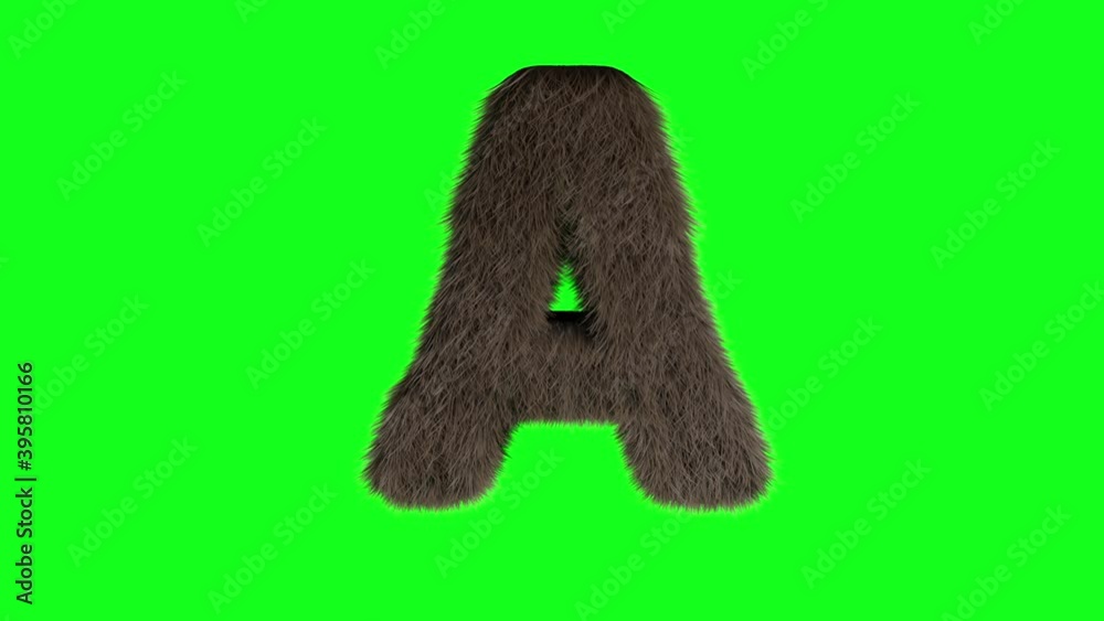 Furry Hairy 3d letter a on green screen chroma key background.Concept of wild,monster,animal,zoo,pet,beast and lot of hairs. Furry Hairy 3d letter a on green screen chroma key background.Concept of wild,monster,animal,zoo,pet,beast and lot of hairs.