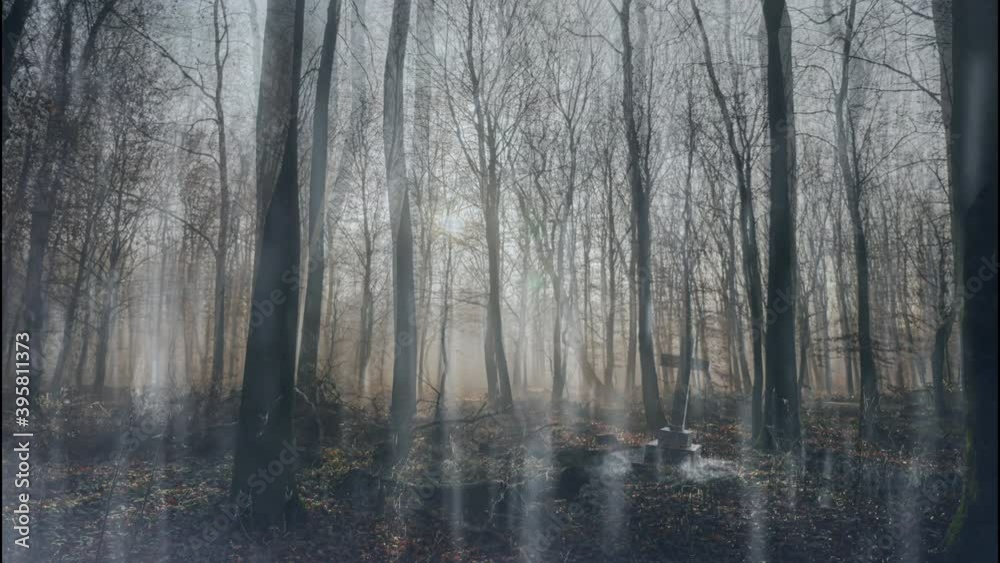 Creepy Forest with Tombstone Animated Loop Creepy Forest with Tombstone Animated Loop