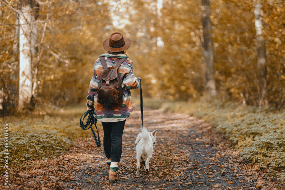Fototapeta premium Stylish woman with backpack hiking with white dog in sunny autumn woods. Cute swiss shepherd puppy