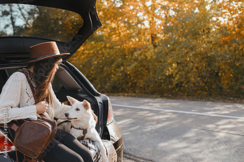 Stylish woman sitting with white dog in car trunk at sunny autumn trees. Road trip with pet © sonyachny