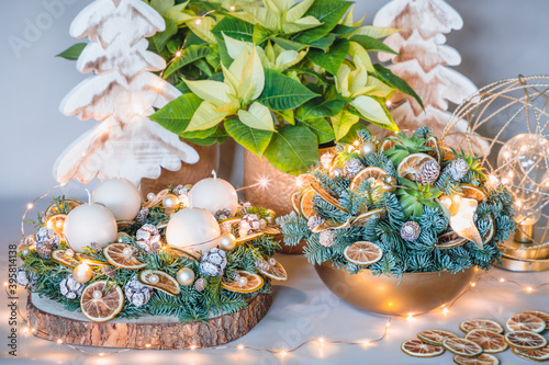 Traditional Christmas and advent decoration completed with wreath, arrangement with dry lime , candles, lights, decoratice tree and Euphorbia pulcherrima