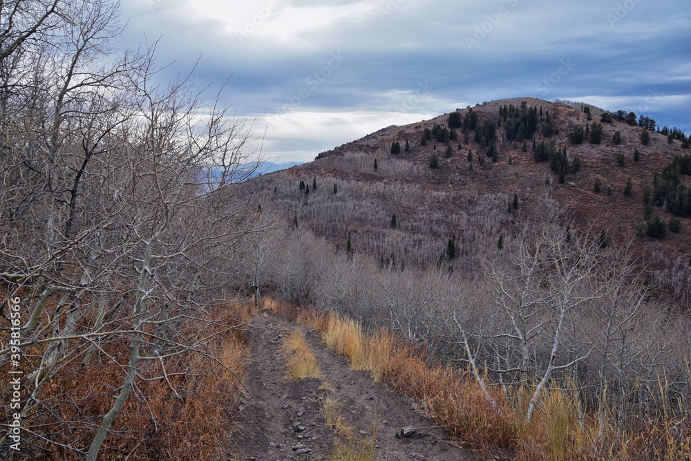 Provo Peak hiking trail mountain landscape scenic view, towards Slide Canyon, Slate Canyon Rock Canyon and Squaw Peak Road, Wasatch Rocky mountain Range, Utah, United States. 