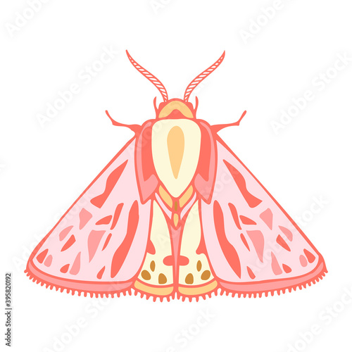 Abstract isolated vector lined illustration design with moth in pastel pink colors