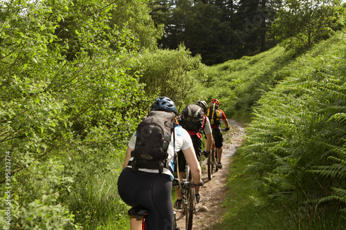 Cyclists On Country Track