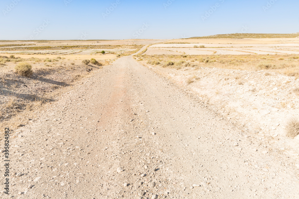 Los Monegros - a gravel road on a desert landscape in summer next to Pina de Ebro, province of Zaragoza, Aragon, Spain