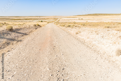 Los Monegros - a gravel road on a desert landscape in summer next to Pina de Ebro  province of Zaragoza  Aragon  Spain