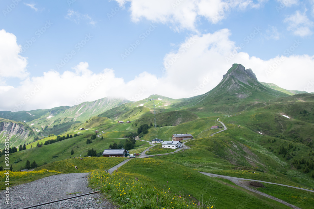 Green hills in austrian Alps in spring
