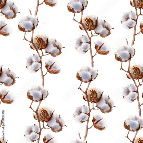 Watercolor seamless pattern with cotton ball branches. Hand painted floral illustration isolated on white background. Botanical rustic eco style design