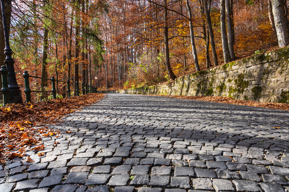 Cobblestone road in the forest in autumn
