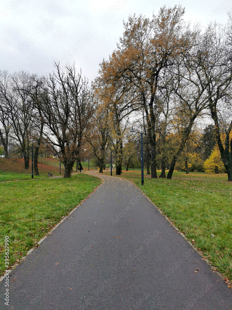 Empty autumn park with a path