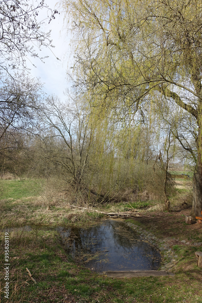 Rodauquelle bei Roedermark-Urberach Rodauquelle bei Roedermark-Urberach