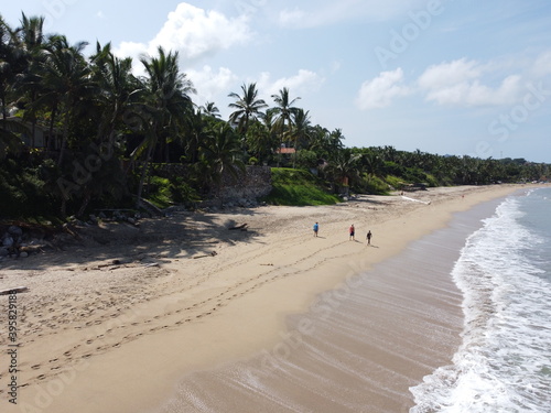 beach with palm trees