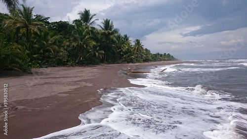 waves on the beach
