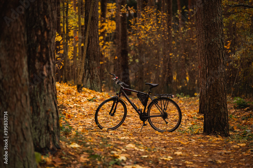 bicycle in the autumn forest woods yellow leaf covered trail bike autumn scenery scene in cloudy day