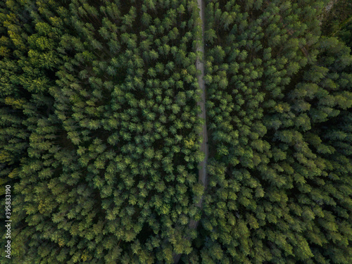 drone show view from above from the forest 