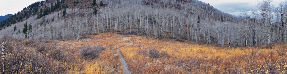 Slate Canyon hiking trail fall leaves mountain landscape view, around Slide Canyon, Rock Canyon and Provo, Wasatch Rocky mountain Range, Utah, United States. Slate Canyon hiking trail fall leaves mountain landscape view, around Slide Canyon, Rock Canyon and Provo, Wasatch Rocky mountain Range, Utah, United States.