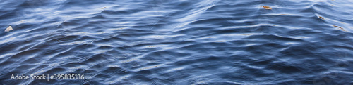 A beautiful rippled deeep blue water surface with leaves float over. Panorama background 