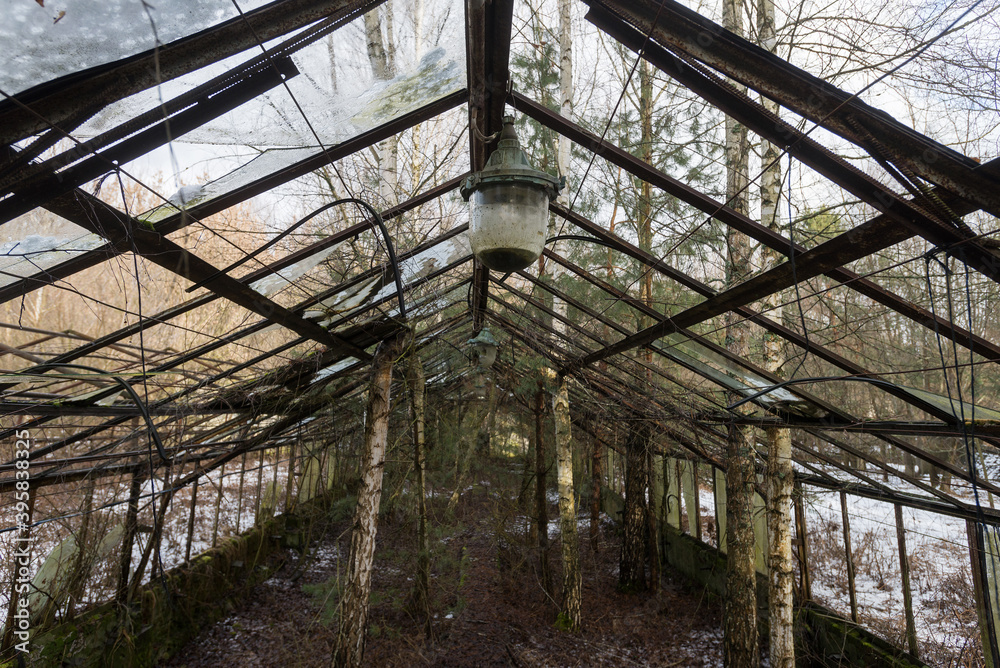 Abandoned greenhouse in soviet ghost town Chernobyl-2