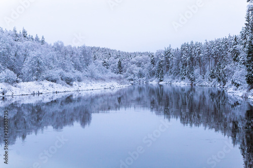 snow covered trees in winter winter scenery over the Gauja river Latvia longest river reflection mirror cloudy not frozen water