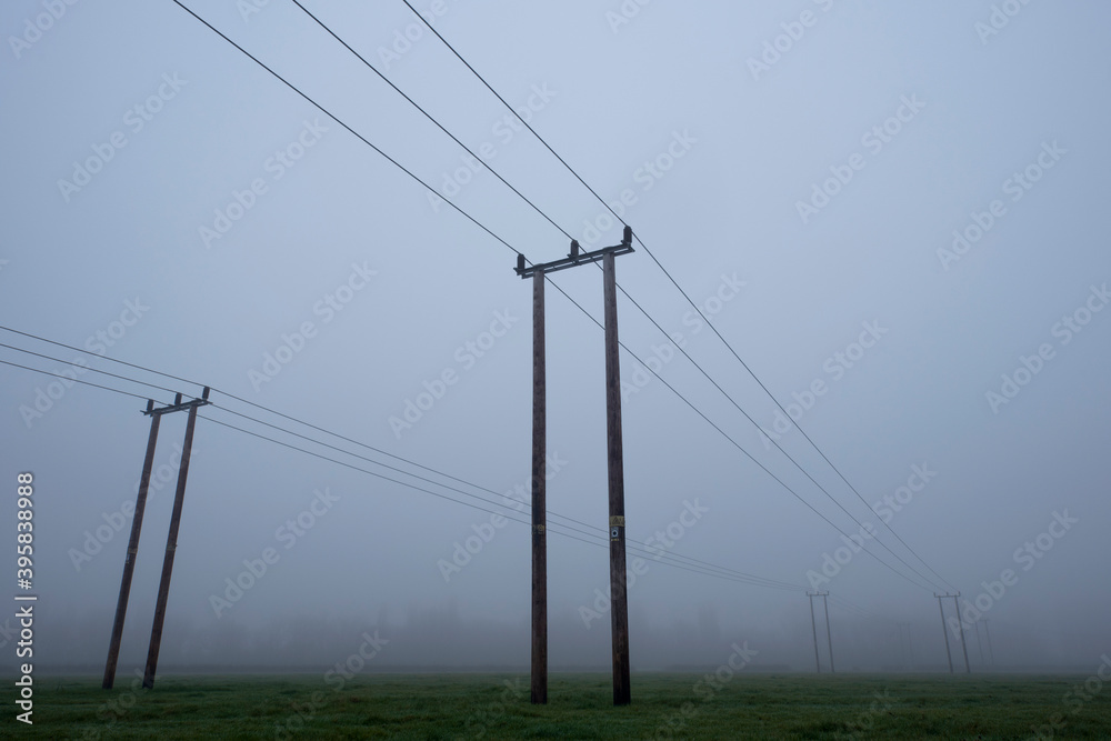 Power lines on a Foggy day.