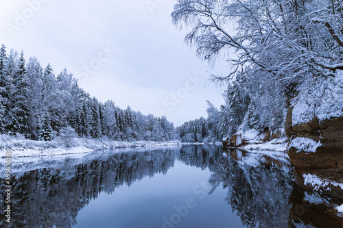 snow covered trees in winter winter scenery over the Gauja river Latvia longest river reflection mirror cloudy not frozen water trees hanging over the rock
