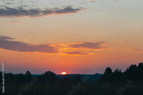 summer dawn in a wheat field