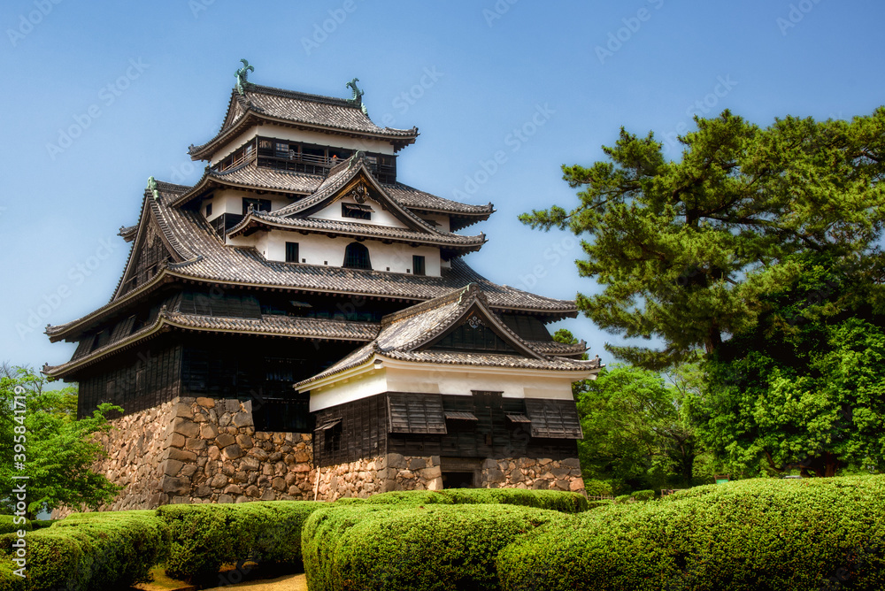 松江城と庭園 松江城と庭園