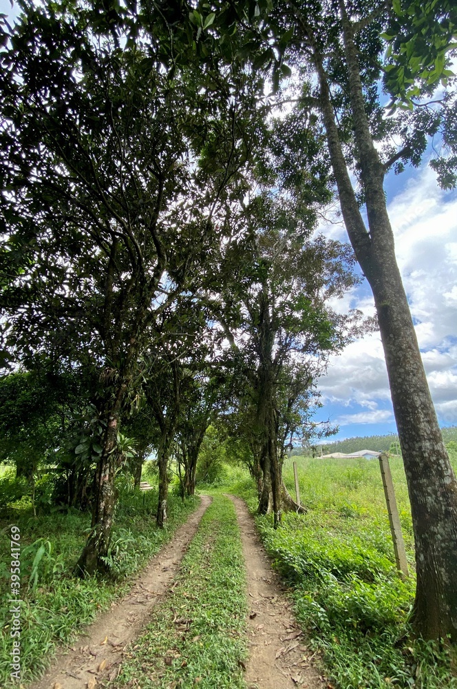 The most beautiful landscapes in Brazil The most beautiful landscapes in Brazil