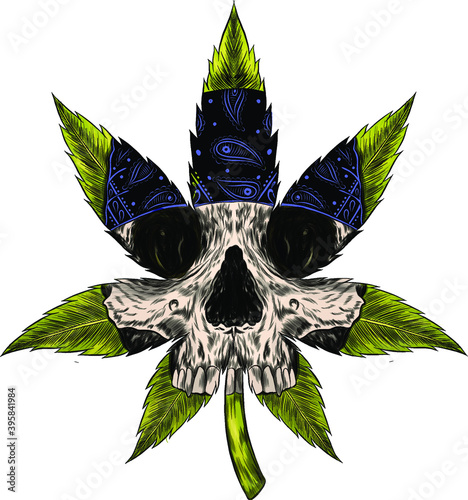skull on hemp graphics, sketch, tattoo vector illustration