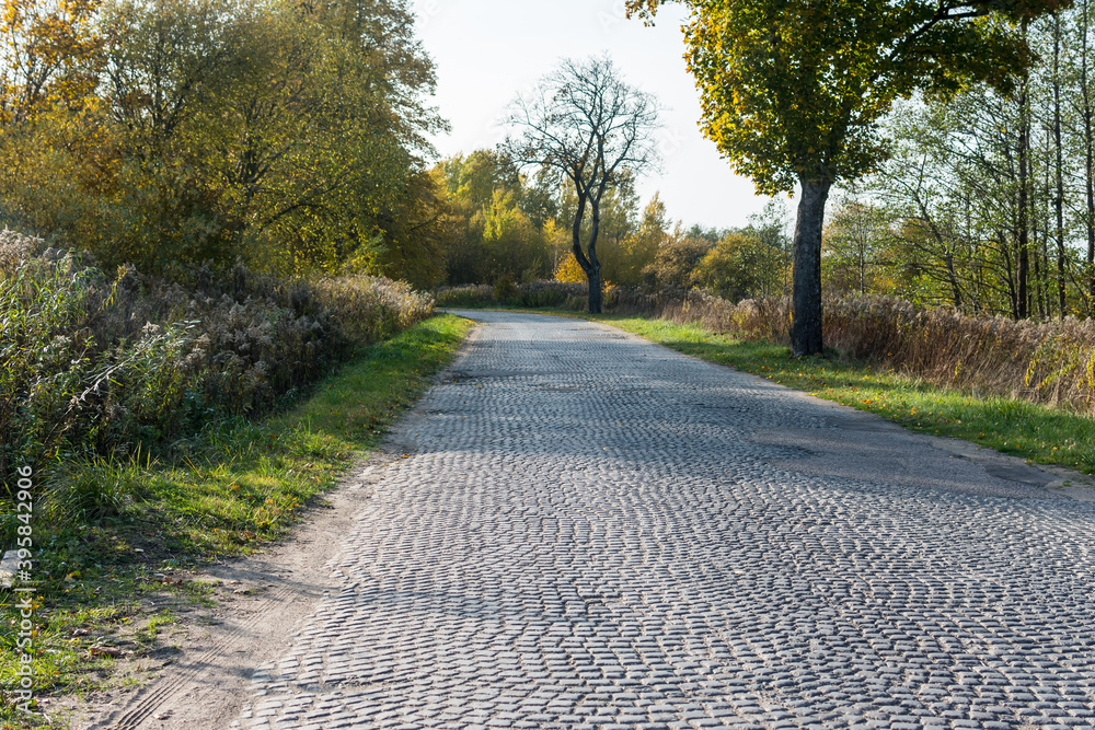 The foot road combined from cobble-stones (autumn season)