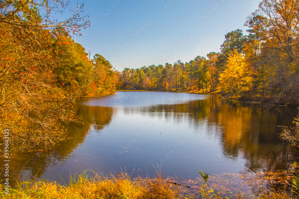 Calm river in rural south Georgia on a clear blue sky day colorful