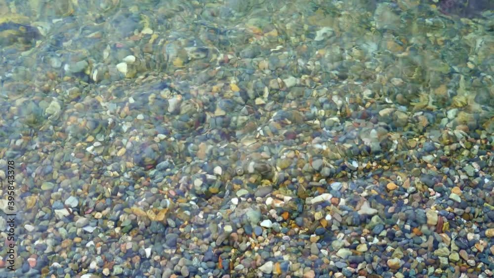 shore with fine pebbles and calm, clear water in the pond shore with fine pebbles and calm, clear water in the pond