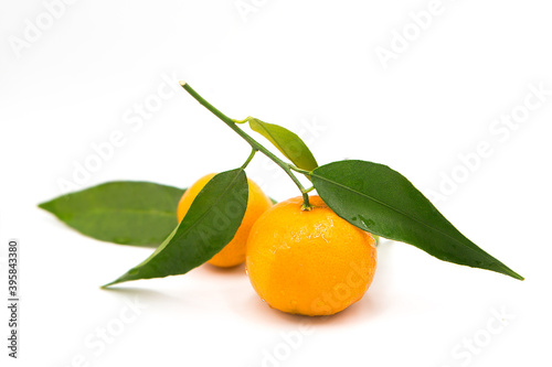 Tangerine with green leaf with dew drops isolated on white background.