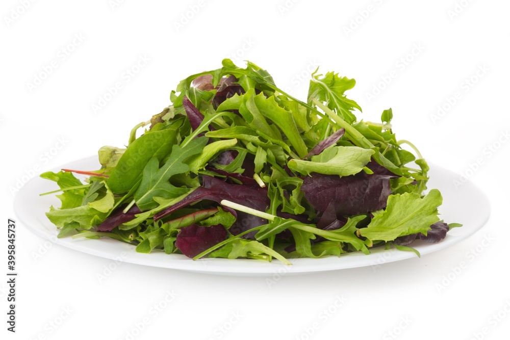 Salad Mix On Plate Salad Mix On Plate