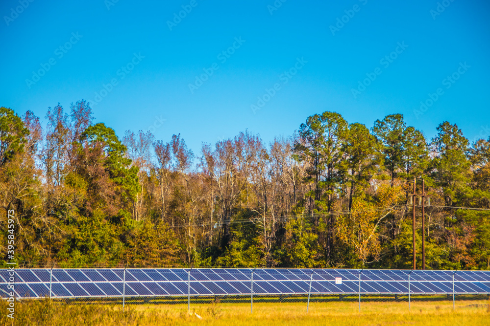 A solar panel farm in Wrens Ga