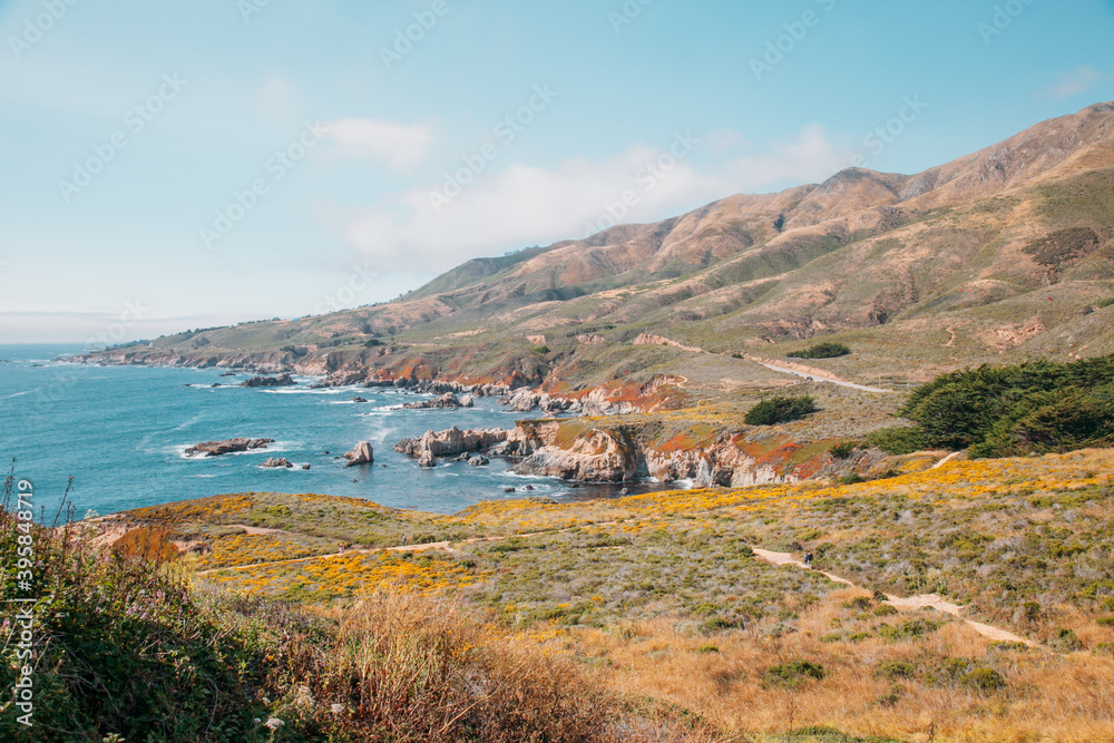 Pacific Coast cliff hillside ocean view travel tourist destination California 