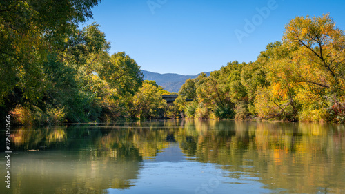 Autumn trees reflected in water