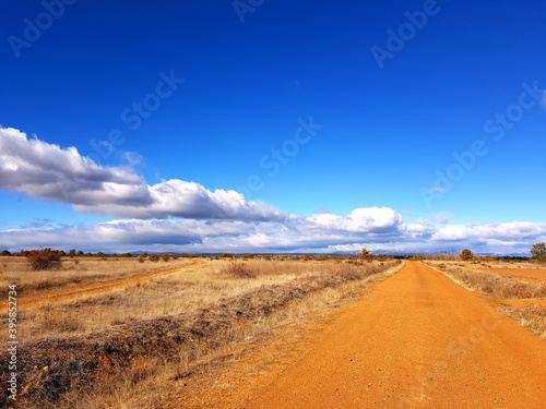 Dirt road to the horizon in autumn gold wheat fields. Blue sky with white clouds.