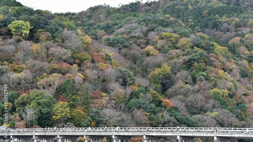 【タイムラプス】秋の渡月橋