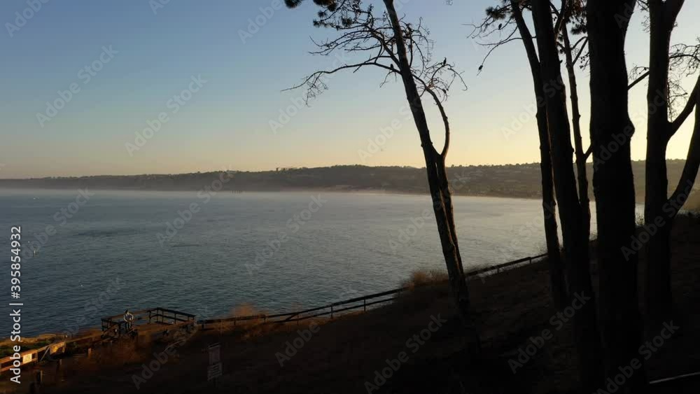 Beautiful Ocean View Through Trees In Silhouette At La Jolla Shore At Dusk - drone shot Beautiful Ocean View Through Trees In Silhouette At La Jolla Shore At Dusk - drone shot
