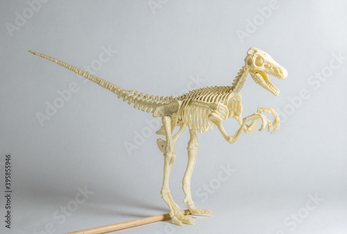 Esqueleto de dinosaurio miniatura de plástico