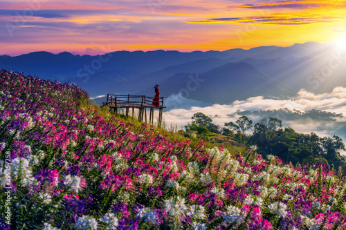 Foto View point of the sea of mist and flower garden in Mae Sot District, Tak Province, Thailand
