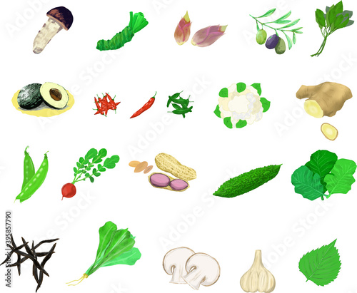可愛いシンプルな野菜のイラストセット2